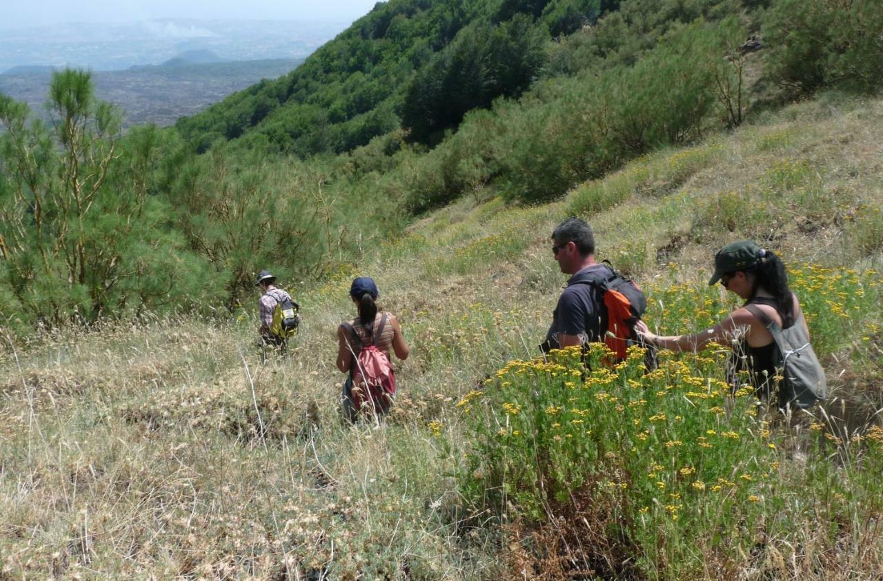 فيلا Pachamama نيكولوسي المظهر الخارجي الصورة